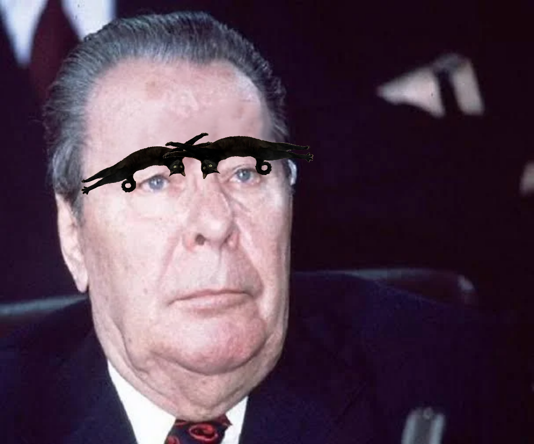 Image of Brezhnev with eyebrows from made of this cat.